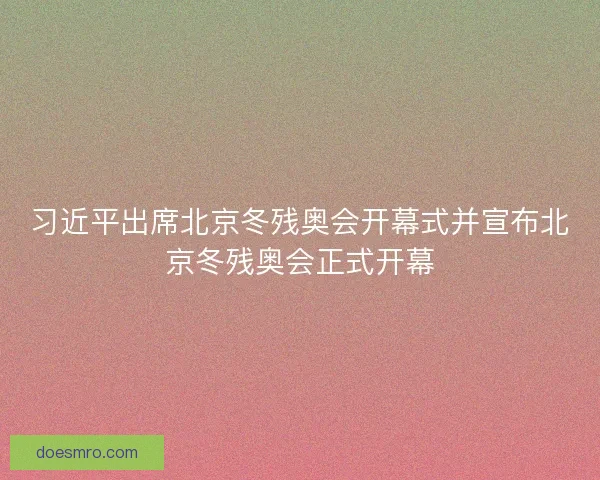 习近平出席北京冬残奥会开幕式并宣布北京冬残奥会正式开幕