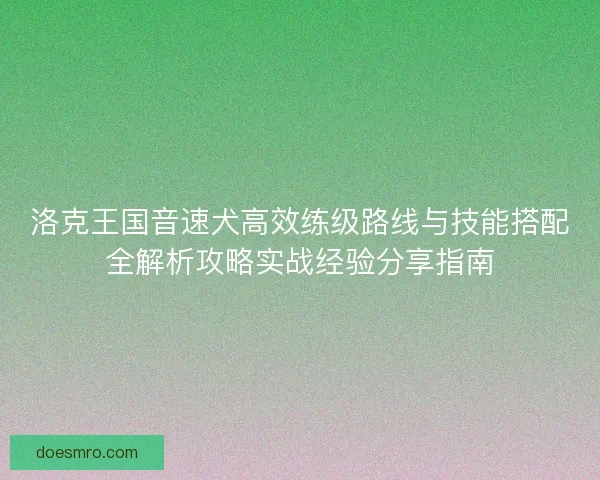 洛克王国音速犬高效练级路线与技能搭配全解析攻略实战经验分享指南