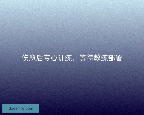 伤愈后专心训练，等待教练部署